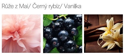 Snímek obrazovky 2026-08-01 141834